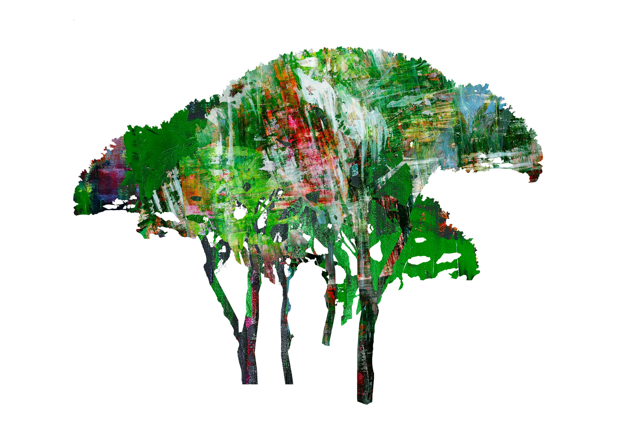 Tree of the South